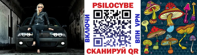 Галлюциногенные грибы мицелий  Сухиничи 